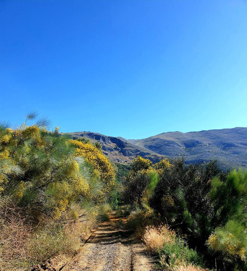 One Life Malaga Retreat Hotel Periana Buitenkant foto