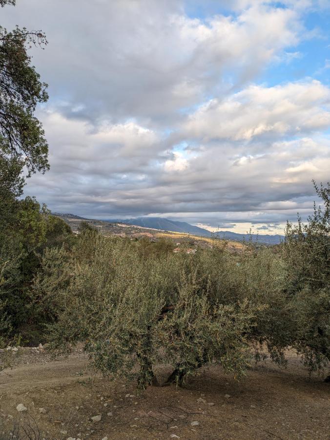 One Life Malaga Retreat Hotel Periana Buitenkant foto